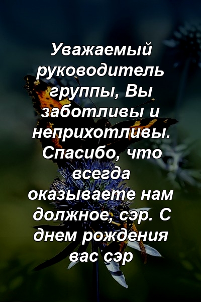 Уважаемый руководитель группы, Вы заботливы и неприхотливы. Спасибо, что всегда оказываете нам должное, сэр. С днем ​​рождения вас сэр