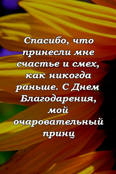 Спасибо, что принесли мне счастье и смех, как никогда раньше. С Днем Благодарения, мой очаровательный принц