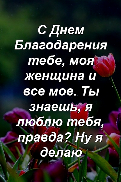 С Днем Благодарения тебе, моя женщина и все мое. Ты знаешь, я люблю тебя, правда? Ну я делаю