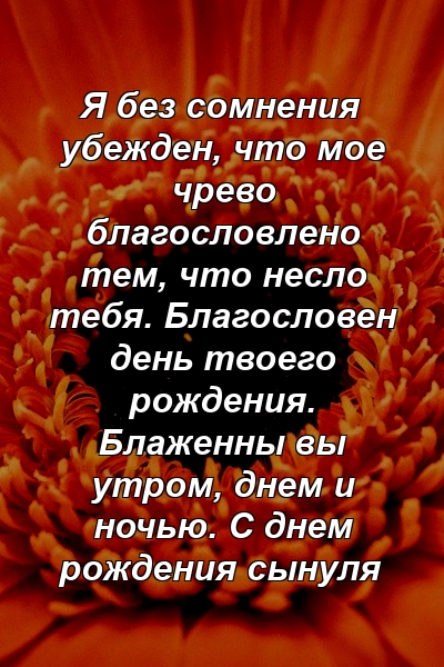 Я без сомнения убежден, что мое чрево благословлено тем, что несло тебя. Благословен день твоего рождения. Блаженны вы утром, днем ​​и ночью. С днем ​​рождения сынуля