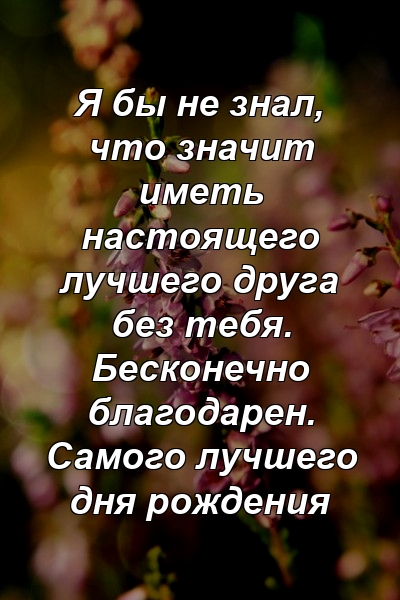 Я бы не знал, что значит иметь настоящего лучшего друга без тебя. Бесконечно благодарен. Самого лучшего дня рождения