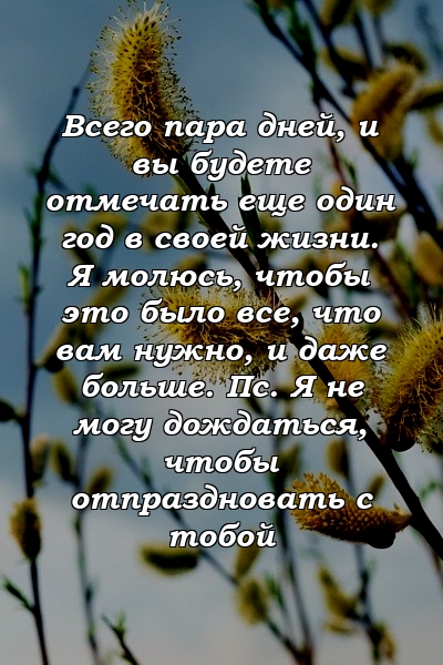 Всего пара дней, и вы будете отмечать еще один год в своей жизни. Я молюсь, чтобы это было все, что вам нужно, и даже больше. Пс. Я не могу дождаться, чтобы отпраздновать с тобой