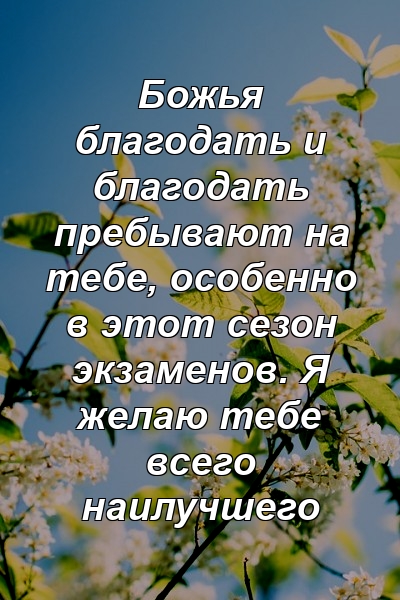 Божья благодать и благодать пребывают на тебе, особенно в этот сезон экзаменов. Я желаю тебе всего наилучшего