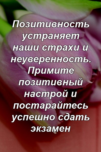 Позитивность устраняет наши страхи и неуверенность. Примите позитивный настрой и постарайтесь успешно сдать экзамен