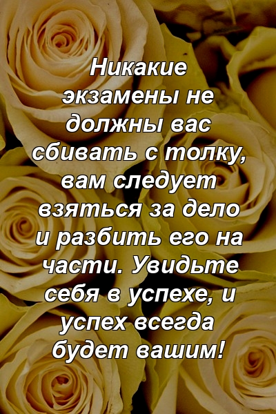 Никакие экзамены не должны вас сбивать с толку, вам следует взяться за дело и разбить его на части. Увидьте себя в успехе, и успех всегда будет вашим!