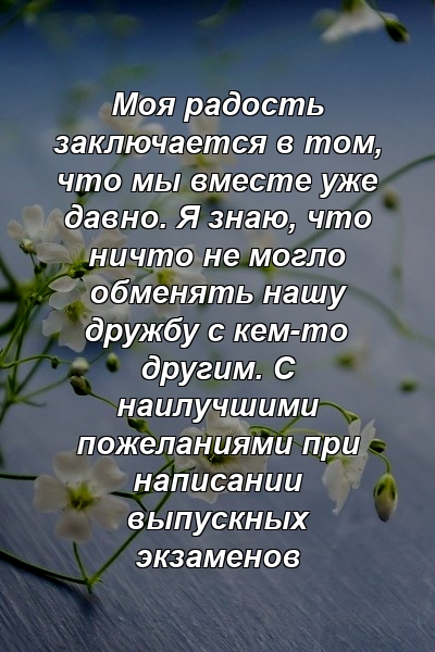 Моя радость заключается в том, что мы вместе уже давно. Я знаю, что ничто не могло обменять нашу дружбу с кем-то другим. С наилучшими пожеланиями при написании выпускных экзаменов