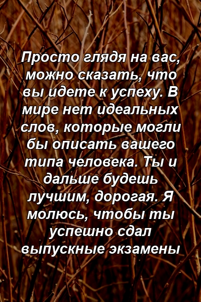 Просто глядя на вас, можно сказать, что вы идете к успеху. В мире нет идеальных слов, которые могли бы описать вашего типа человека. Ты и дальше будешь лучшим, дорогая. Я молюсь, чтобы ты успешно сдал выпускные экзамены