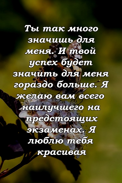 Ты так много значишь для меня. И твой успех будет значить для меня гораздо больше. Я желаю вам всего наилучшего на предстоящих экзаменах. Я люблю тебя красивая