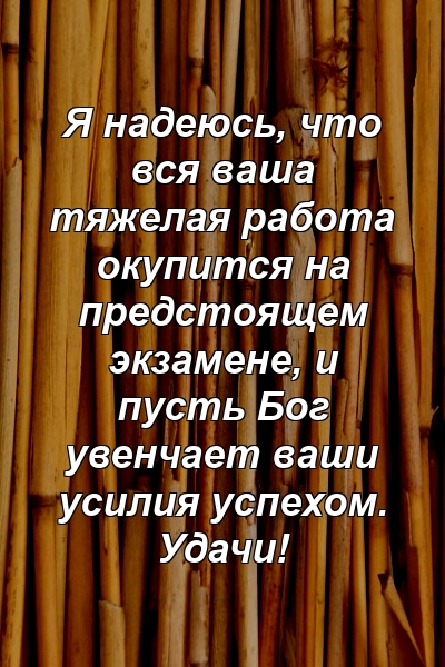 Я надеюсь, что вся ваша тяжелая работа окупится на предстоящем экзамене, и пусть Бог увенчает ваши усилия успехом. Удачи!