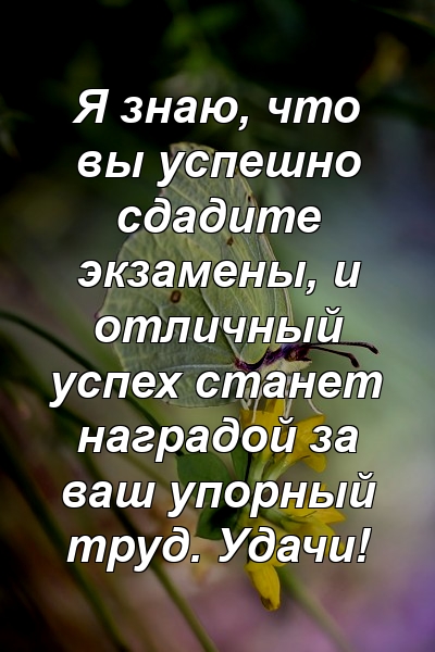 Я знаю, что вы успешно сдадите экзамены, и отличный успех станет наградой за ваш упорный труд. Удачи!