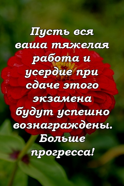 Пусть вся ваша тяжелая работа и усердие при сдаче этого экзамена будут успешно вознаграждены. Больше прогресса!