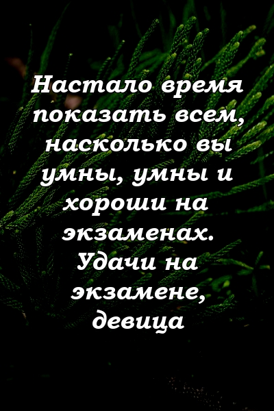 Настало время показать всем, насколько вы умны, умны и хороши на экзаменах. Удачи на экзамене, девица