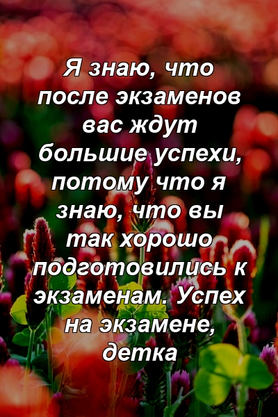 Я знаю, что после экзаменов вас ждут большие успехи, потому что я знаю, что вы так хорошо подготовились к экзаменам. Успех на экзамене, детка