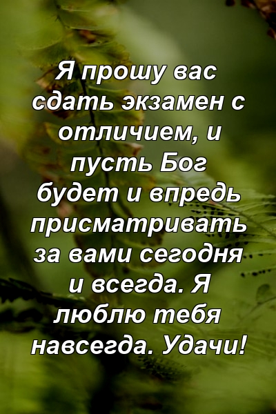 Я прошу вас сдать экзамен с отличием, и пусть Бог будет и впредь присматривать за вами сегодня и всегда. Я люблю тебя навсегда. Удачи!