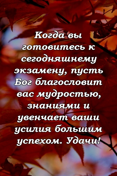 Когда вы готовитесь к сегодняшнему экзамену, пусть Бог благословит вас мудростью, знаниями и увенчает ваши усилия большим успехом. Удачи!