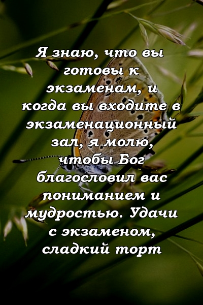 Я знаю, что вы готовы к экзаменам, и когда вы входите в экзаменационный зал, я молю, чтобы Бог благословил вас пониманием и мудростью. Удачи с экзаменом, сладкий торт