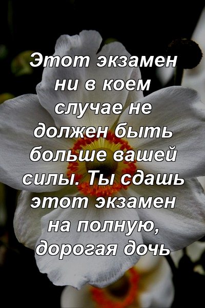 Этот экзамен ни в коем случае не должен быть больше вашей силы. Ты сдашь этот экзамен на полную, дорогая дочь