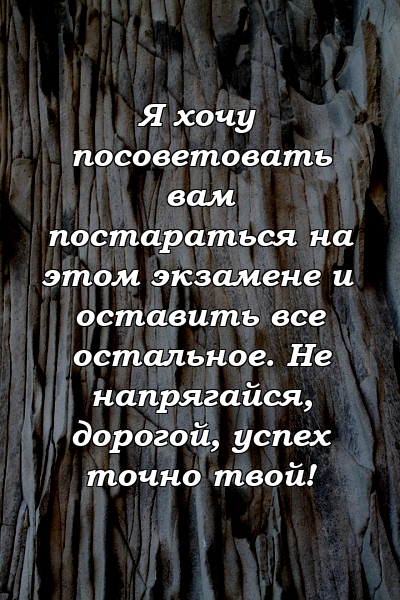 Я хочу посоветовать вам постараться на этом экзамене и оставить все остальное. Не напрягайся, дорогой, успех точно твой!