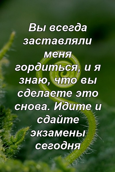 Вы всегда заставляли меня гордиться, и я знаю, что вы сделаете это снова. Идите и сдайте экзамены сегодня