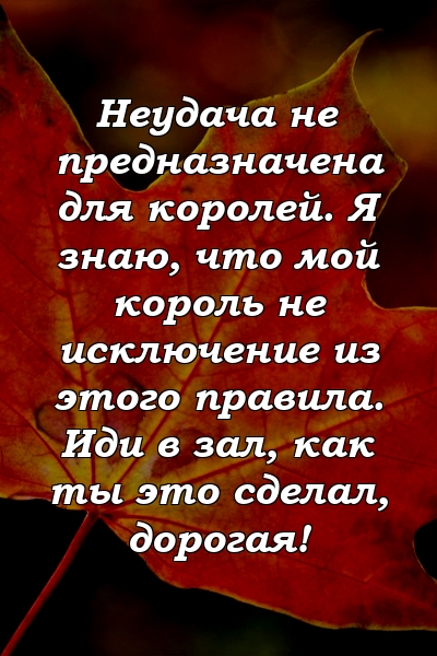 Неудача не предназначена для королей. Я знаю, что мой король не исключение из этого правила. Иди в зал, как ты это сделал, дорогая!