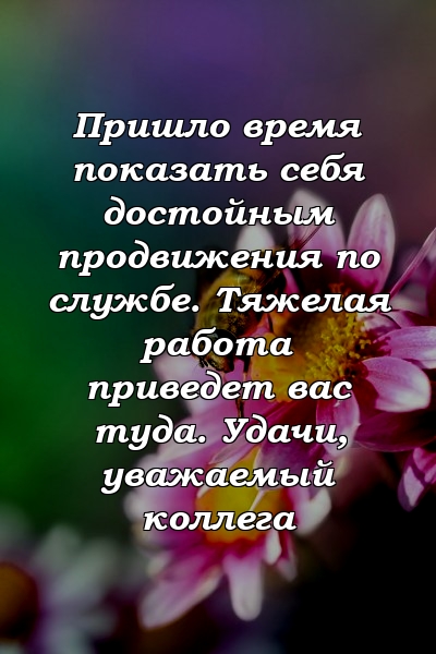 Пришло время показать себя достойным продвижения по службе. Тяжелая работа приведет вас туда. Удачи, уважаемый коллега