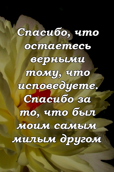 Спасибо, что остаетесь верными тому, что исповедуете. Спасибо за то, что был моим самым милым другом