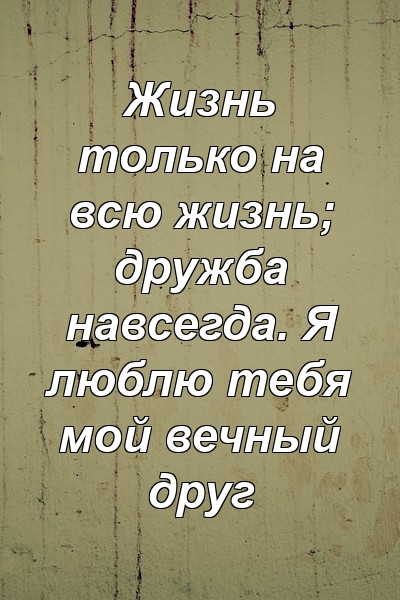 Жизнь только на всю жизнь; дружба навсегда. Я люблю тебя мой вечный друг