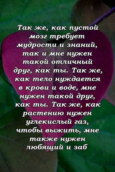 Так же, как пустой мозг требует мудрости и знаний, так и мне нужен такой отличный друг, как ты. Так же, как тело нуждается в крови и воде, мне нужен такой друг, как ты. Так же, как растению нужен углекислый газ, чтобы выжить, мне также нужен любящий и заб