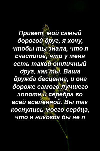 Привет, мой самый дорогой друг, я хочу, чтобы ты знала, что я счастлив, что у меня есть такой отличный друг, как ты. Ваша дружба бесценна, и она дороже самого лучшего золота и серебра во всей вселенной. Вы так коснулись моего сердца, что я никогда бы не п