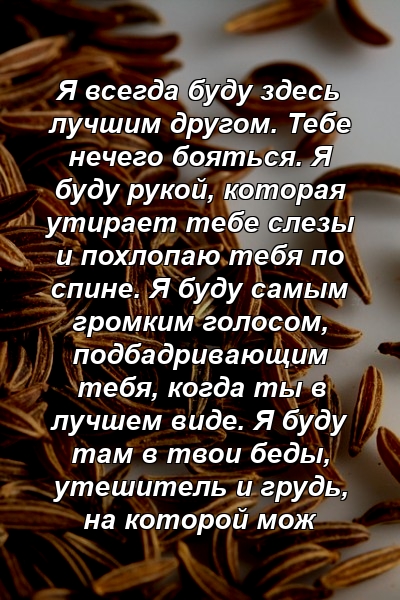 Я всегда буду здесь лучшим другом. Тебе нечего бояться. Я буду рукой, которая утирает тебе слезы и похлопаю тебя по спине. Я буду самым громким голосом, подбадривающим тебя, когда ты в лучшем виде. Я буду там в твои беды, утешитель и грудь, на которой мож