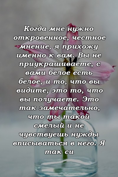 Когда мне нужно откровенное, честное мнение, я прихожу именно к вам. Вы не приукрашиваете, с вами белое есть белое, и то, что вы видите, это то, что вы получаете. Это так замечательно, что ты такой смелый и не чувствуешь нужды вписываться в него. Я так си