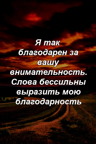 Я так благодарен за вашу внимательность. Слова бессильны выразить мою благодарность