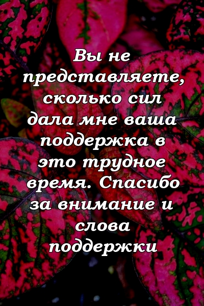 Вы не представляете, сколько сил дала мне ваша поддержка в это трудное время. Спасибо за внимание и слова поддержки