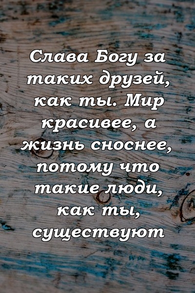 Слава Богу за таких друзей, как ты. Мир красивее, а жизнь сноснее, потому что такие люди, как ты, существуют