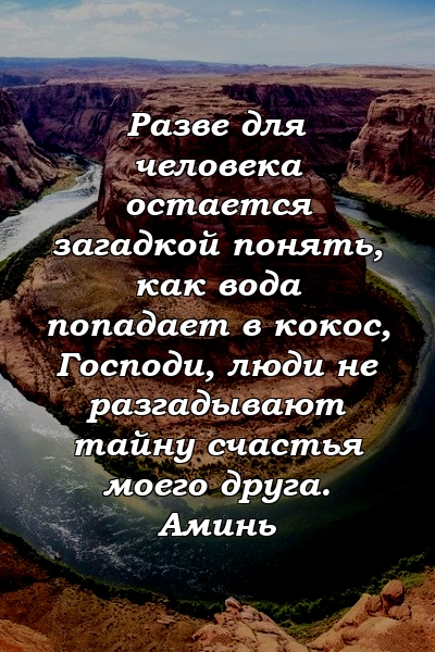 Разве для человека остается загадкой понять, как вода попадает в кокос, Господи, люди не разгадывают тайну счастья моего друга. Аминь