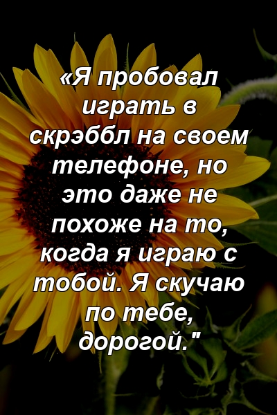 «Я пробовал играть в скрэббл на своем телефоне, но это даже не похоже на то, когда я играю с тобой. Я скучаю по тебе, дорогой."