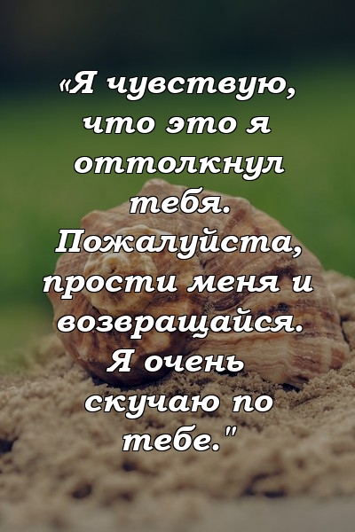 «Я чувствую, что это я оттолкнул тебя. Пожалуйста, прости меня и возвращайся. Я очень скучаю по тебе."