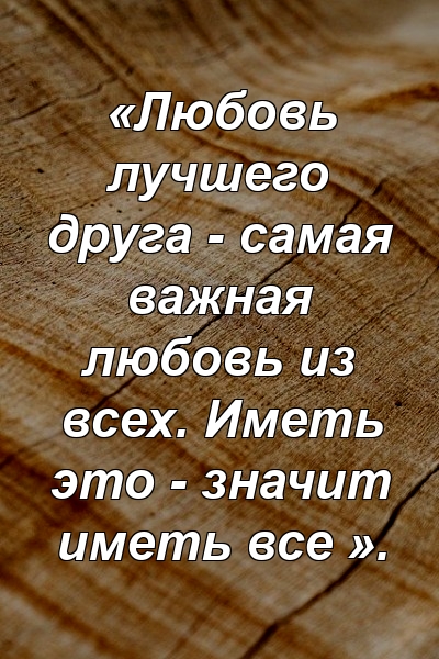 «Любовь лучшего друга - самая важная любовь из всех. Иметь это - значит иметь все ».