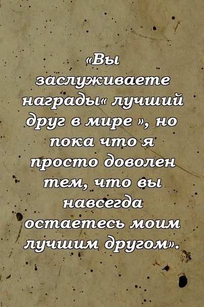 «Вы заслуживаете награды« лучший друг в мире », но пока что я просто доволен тем, что вы навсегда остаетесь моим лучшим другом».