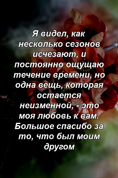 Я видел, как несколько сезонов исчезают, и постоянно ощущаю течение времени, но одна вещь, которая остается неизменной, - это моя любовь к вам. Большое спасибо за то, что был моим другом