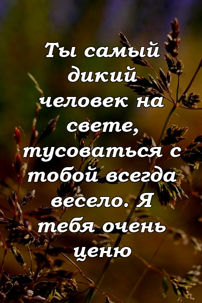 Ты самый дикий человек на свете, тусоваться с тобой всегда весело. Я тебя очень ценю