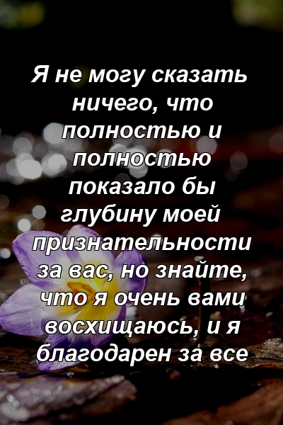 Я не могу сказать ничего, что полностью и полностью показало бы глубину моей признательности за вас, но знайте, что я очень вами восхищаюсь, и я благодарен за все