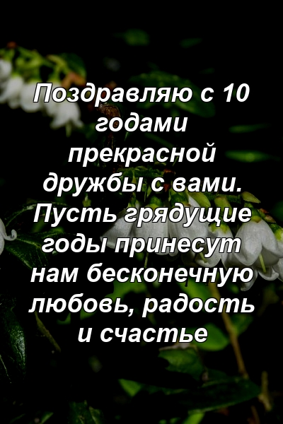 Поздравляю с 10 годами прекрасной дружбы с вами. Пусть грядущие годы принесут нам бесконечную любовь, радость и счастье