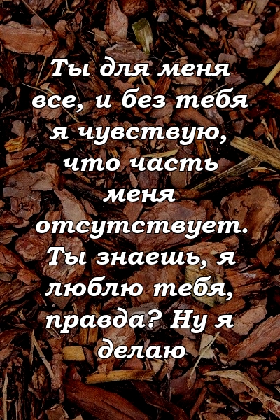 Ты для меня все, и без тебя я чувствую, что часть меня отсутствует. Ты знаешь, я люблю тебя, правда? Ну я делаю