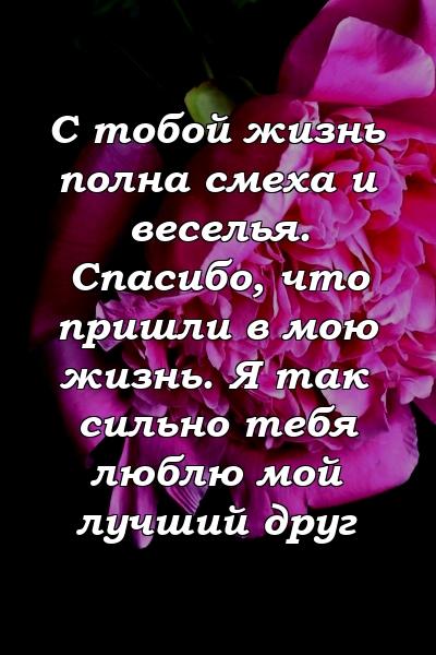 С тобой жизнь полна смеха и веселья. Спасибо, что пришли в мою жизнь. Я так сильно тебя люблю мой лучший друг