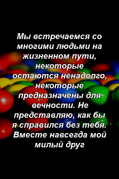 Мы встречаемся со многими людьми на жизненном пути, некоторые остаются ненадолго, некоторые предназначены для вечности. Не представляю, как бы я справился без тебя. Вместе навсегда мой милый друг