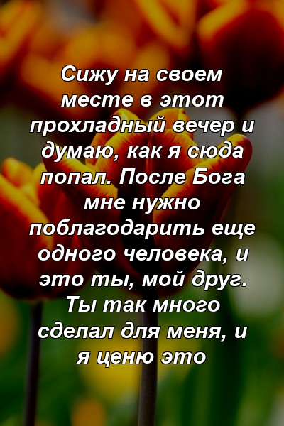 Сижу на своем месте в этот прохладный вечер и думаю, как я сюда попал. После Бога мне нужно поблагодарить еще одного человека, и это ты, мой друг. Ты так много сделал для меня, и я ценю это