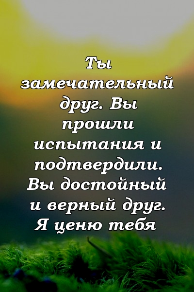 Ты замечательный друг. Вы прошли испытания и подтвердили. Вы достойный и верный друг. Я ценю тебя