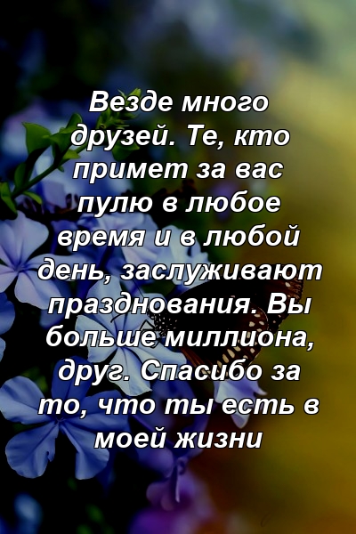 Везде много друзей. Те, кто примет за вас пулю в любое время и в любой день, заслуживают празднования. Вы больше миллиона, друг. Спасибо за то, что ты есть в моей жизни