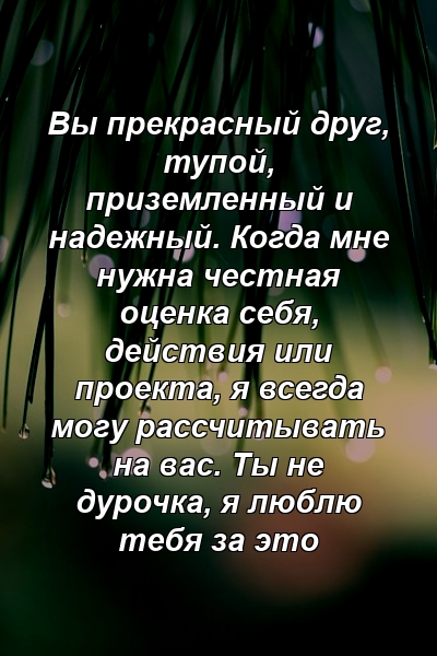 Вы прекрасный друг, тупой, приземленный и надежный. Когда мне нужна честная оценка себя, действия или проекта, я всегда могу рассчитывать на вас. Ты не дурочка, я люблю тебя за это